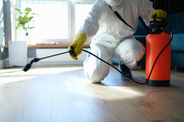 Reliable Sewage Cleanup contractor in Indian Hills, KY by Trauma Clean Pros